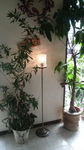 2009080708570000.jpg