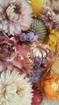 2009080709020000.jpg